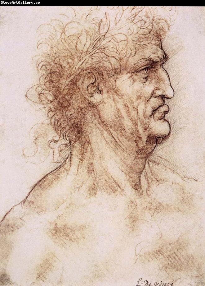 LEONARDO da Vinci Profile one with book leaves gekroten of old man